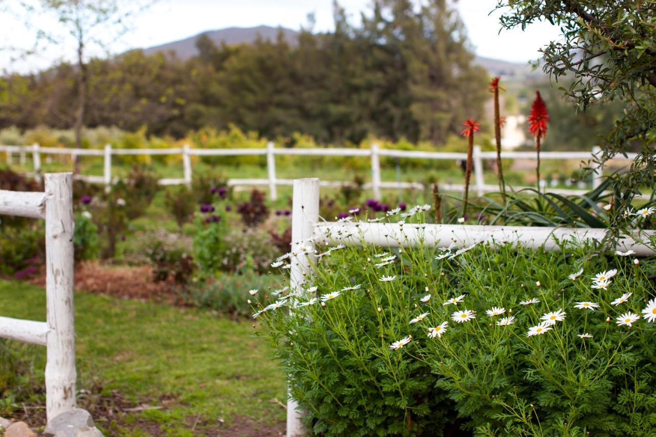 Summerhill Guest Farm Уорчестър Екстериор снимка