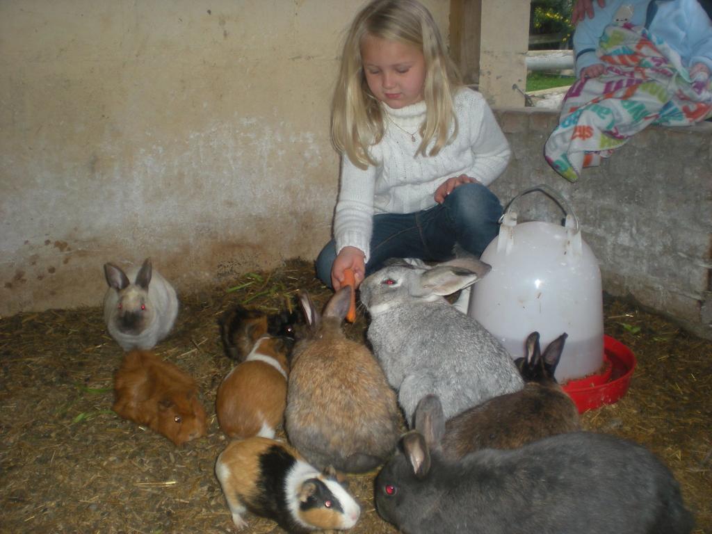 Summerhill Guest Farm Уорчестър Екстериор снимка